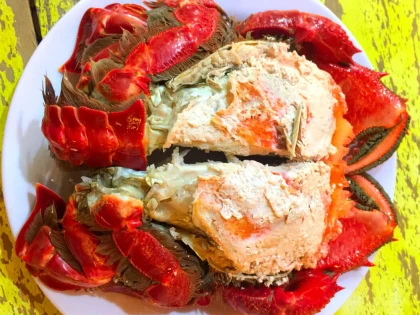 Coco Jambo Quy nhơn