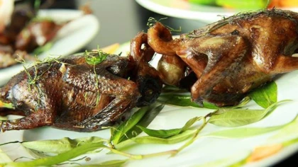 Kinh nghiệm đi biển Thiên Cầm Hà Tĩnh 2023