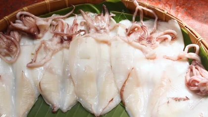 Kinh nghiệm du lịch đảo Yến Nha Trang