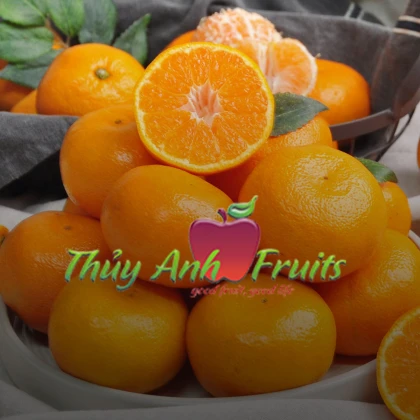 Thủy Anh Fruits - Hoa Quả Nhập Khẩu Uy Tín