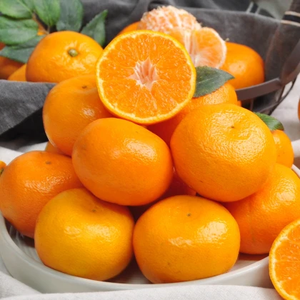 Thủy Anh Fruits - Hoa Quả Nhập Khẩu Uy Tín