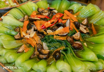 Buffet Chay Không Giới Hạn - Mộc miên