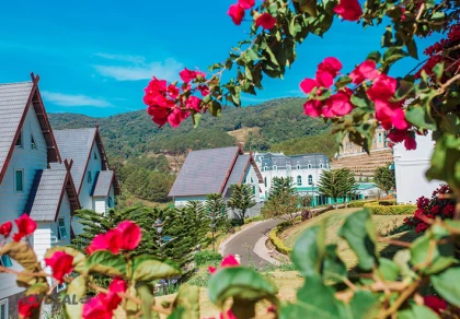 Đà Lạt Wonder Resort 4* - Phòng Superior/ Bungalow 2N1Đ + Ăn Sáng Đà Lạt Wonder Resort 4* - Phòng Superior/ Bungalow 2N1Đ + Ăn Sáng