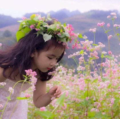 Tour Hà Nội - Hà Giang - Lũng Cú - Sông Nho Quế 4N3Đ - VMB Khứ Hồi