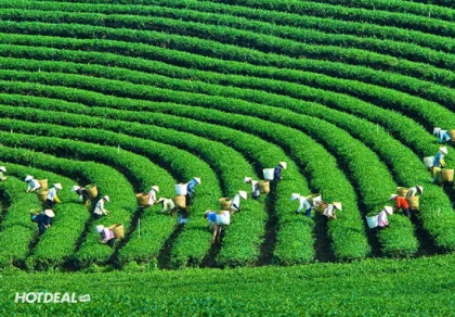 Tour Sapa - Lai Châu - Điện Biên - Mộc Châu - Mai Châu 5N4Đ