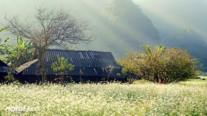 Tour Sapa - Lai Châu - Điện Biên - Mộc Châu - Mai Châu 5N4Đ