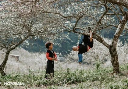 Tour Sapa - Lai Châu - Điện Biên - Mộc Châu - Mai Châu 5N4Đ