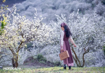 Tour Sapa - Lai Châu - Điện Biên - Mộc Châu - Mai Châu 5N4Đ