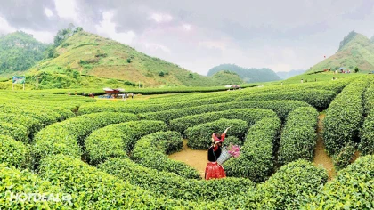 Tour Sapa - Lai Châu - Điện Biên - Mộc Châu - Mai Châu 5N4Đ