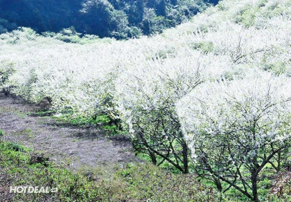 Tour Sapa - Lai Châu - Điện Biên - Mộc Châu - Mai Châu 5N4Đ