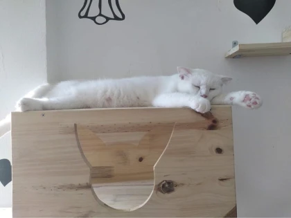 10 quán cafe siêu đẹp ở vân đồ cho tín đồ sống ảo