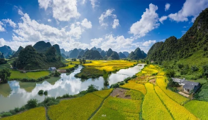4 điểm đến Checkin mùa vàng ở Cao Bằng 4 điểm đến Checkin mùa vàng ở Cao Bằng