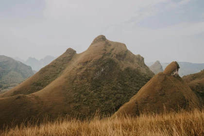 Checkin Đồi cỏ cháy Vinh Quý Cao Bằng