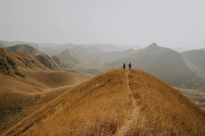 Checkin Đồi cỏ cháy Vinh Quý Cao Bằng
