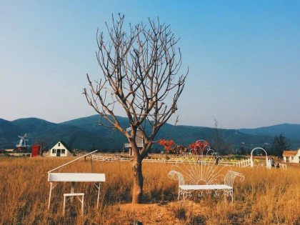 Checkin Phim trường Thuận Phước Field Đà Nẵng