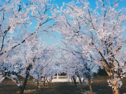 Checkin Phim trường Thuận Phước Field Đà Nẵng