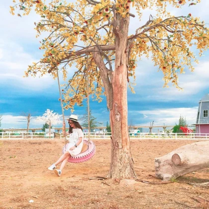 Checkin Phim trường Thuận Phước Field Đà Nẵng