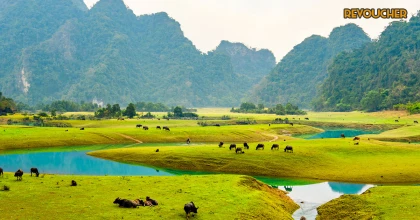 Checkin Thảo nguyên Đồng Lâm Lạng Sơn