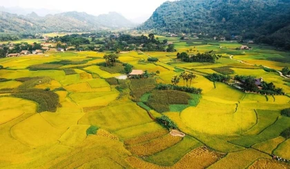 Checkin Xới Farmstay Yên Bái Checkin Xới Farmstay Yên Bái