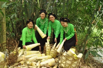 Checkin Xới Farmstay Yên Bái Checkin Xới Farmstay Yên Bái