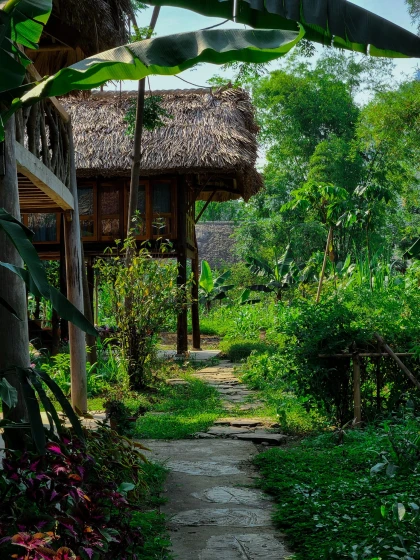 Checkin Xới Farmstay Yên Bái Checkin Xới Farmstay Yên Bái