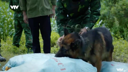 Cuộc chiến không giới tuyến - Tập 8 Preview