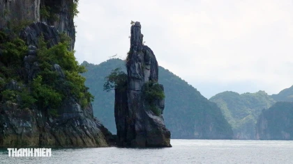 Đảo Cát Bà vừa trở thành di sản thiên nhiên thế giới