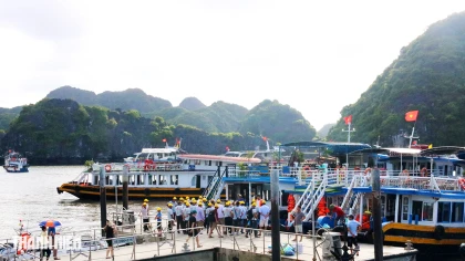 Đảo Cát Bà vừa trở thành di sản thiên nhiên thế giới