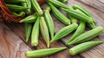 Đậu bắp - Tác dụng tuyệt vời cho sức khỏe Đậu bắp - Tác dụng tuyệt vời cho sức khỏe