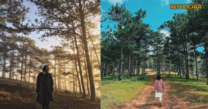 Đồi thông Nho Quan Ninh Bình