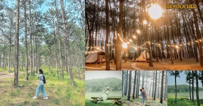 Đồi thông Nho Quan Ninh Bình