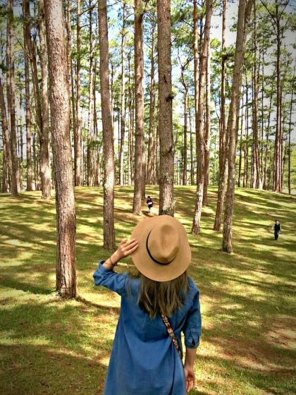 Đồi thông Nho Quan Ninh Bình