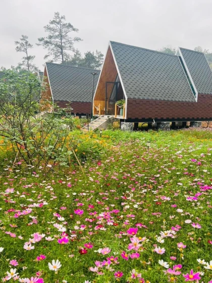 Homestay Vườn An nhiên Mộc Châu Homestay Vườn An nhiên Mộc Châu