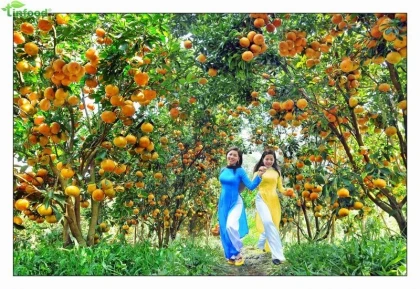 Khám phá các địa điểm vui chơi  ở Bình Dương Khám phá các địa điểm vui chơi  ở Bình Dương