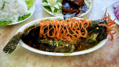 Kinh nghiệm đi biển đồ sơn 2 ngày 1 đêm