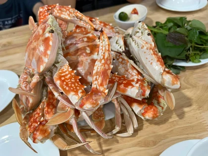 Kinh nghiệm đi biển đồ sơn 2 ngày 1 đêm