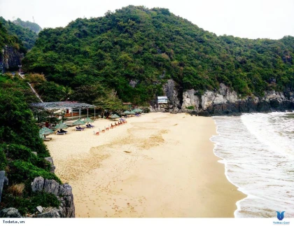 Kinh nghiệm đi biển đồ sơn 2 ngày 1 đêm