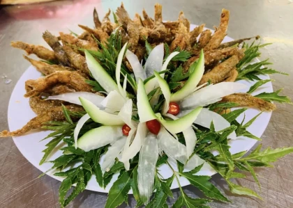 Kinh nghiệm đi du lịch hồ núi cốc Thái Nguyên