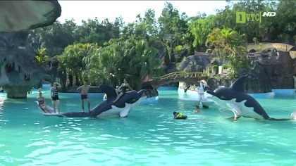 Kinh nghiệm đi du lịch hồ núi cốc Thái Nguyên