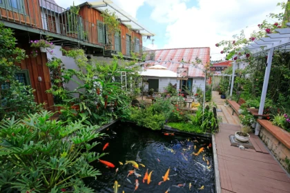 Koi Homestay Đà lạt với hồ cá Koi mang phong cách Nhật