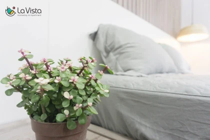 Lavista homestay hải phòng