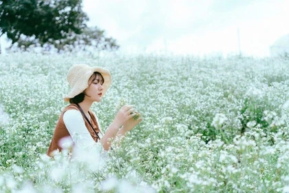 Mùa hoa cải trắng Mộc châu