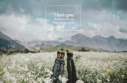 Mùa hoa cải trắng Mộc châu