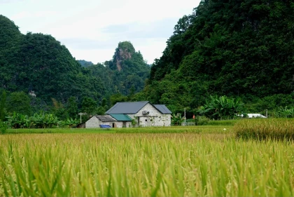 Nasan Green Farm Cao Bằng