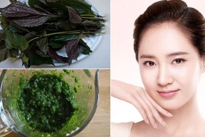 Rửa mặt bằng lá tía tô có  tác dụng như thế nào?