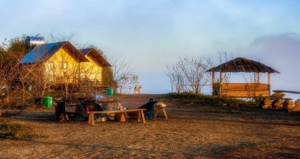 Săn mây Tà Xùa review kinh nghiệm săn mây