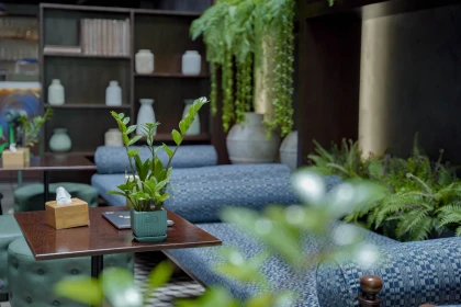 top 5 quán cafe sân vườn ở Hà Nội đẹp nhất top 5 quán cafe sân vườn ở Hà Nội đẹp nhất