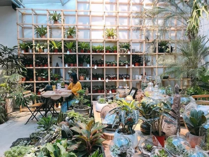 top 5 quán cafe sân vườn ở Hà Nội đẹp nhất top 5 quán cafe sân vườn ở Hà Nội đẹp nhất